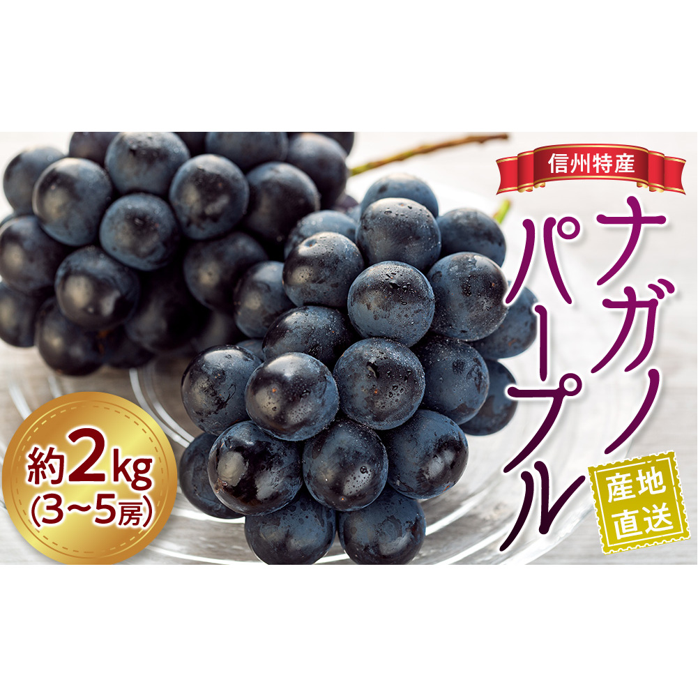 ぶどう ナガノパープル 2kg 3〜5房 葡萄 ブドウ 長野パープル 果物 くだもの フルーツ 旬の果物 旬のフルーツ 信州 長野 長野県 ※着日指定不可 ※オンライン決済限定 長野県箕輪町23000果物・