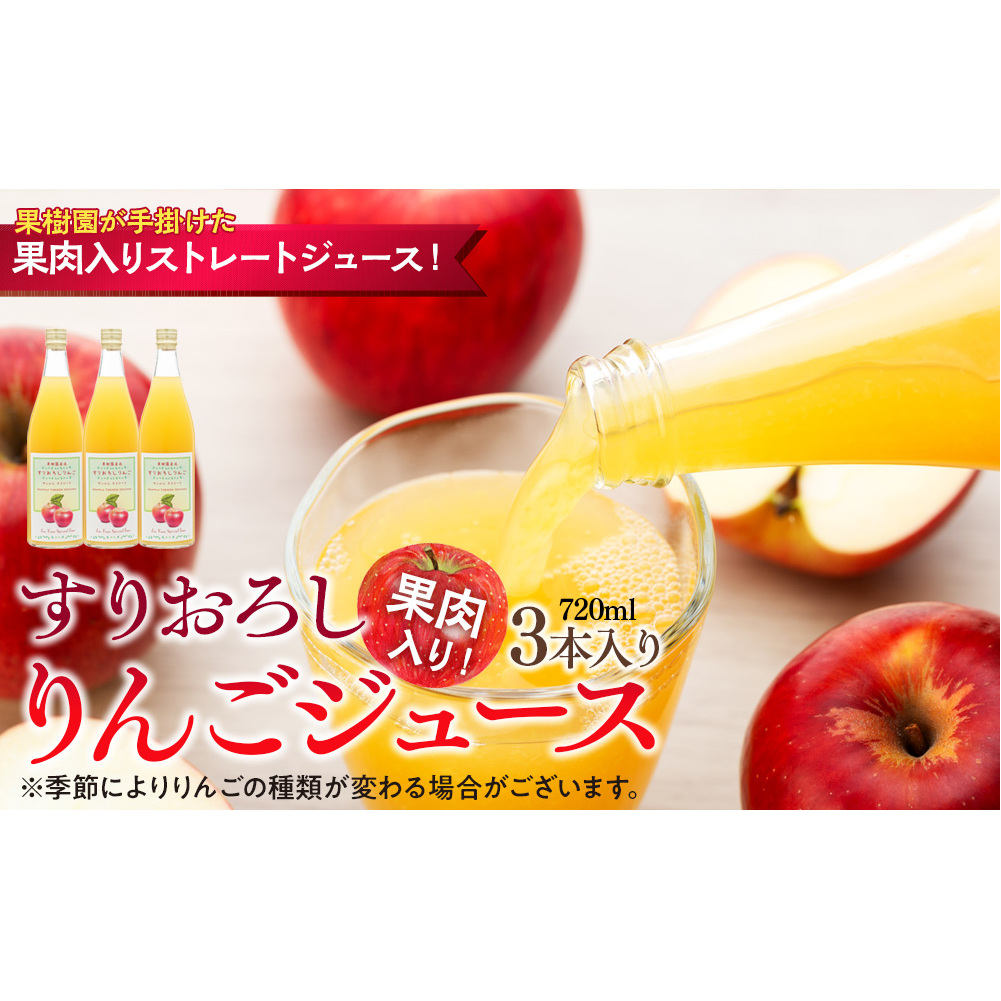 果肉入り!すりおろしりんごジュース 3本入り リンゴジュース りんご リンゴ 林檎 長野 フルーツ 果物 信州産 長野県産 特産 産地直送 おすすめ 長野県箕輪町12000お茶・飲料果汁・野菜飲料