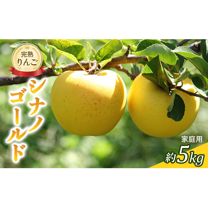 s\  VimS[h 5kg ƒp 2025N ߘa7N n񂲁EOς͕sǔ ʕ ʕ S ь t[c ̂ MBY 쌧Y MB