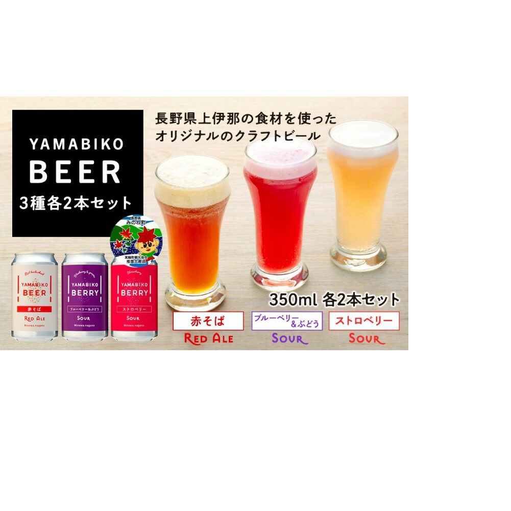 クラフトビール YAMABIKO BEER 3種 計6本 飲み比べ セット 赤そば ブルーベリー ストロベリー 詰め合わせ 地ビール フルーツ ビール フルーツビール お酒 酒 アルコール 発泡酒 珍しい フルーテ
