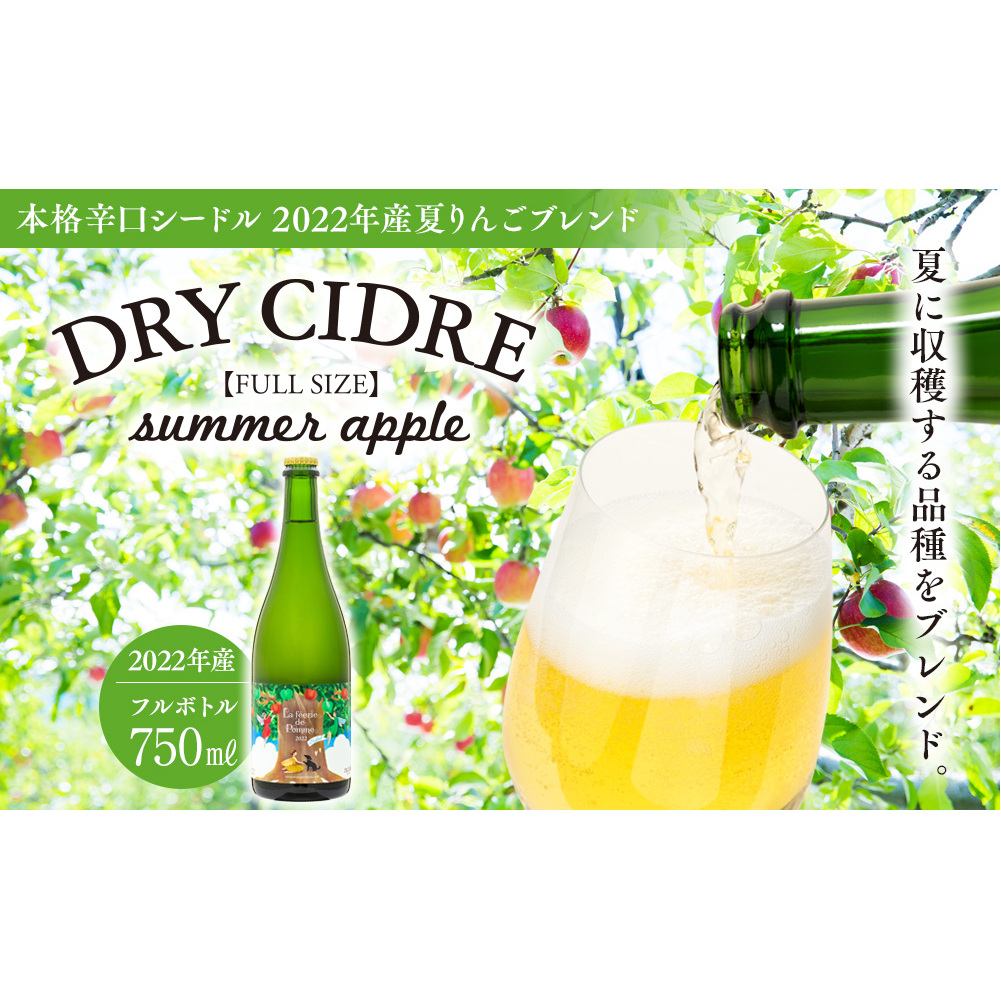 シードル 750ml 1本 きめ細かい泡立ち 爽快で深み感じる 本格 辛口シードル 2022年産 夏りんごブレンド フルボトル 辛口 りんご お酒 酒 アルコール おうちごはん 長野 長野県 箕輪町長野県箕