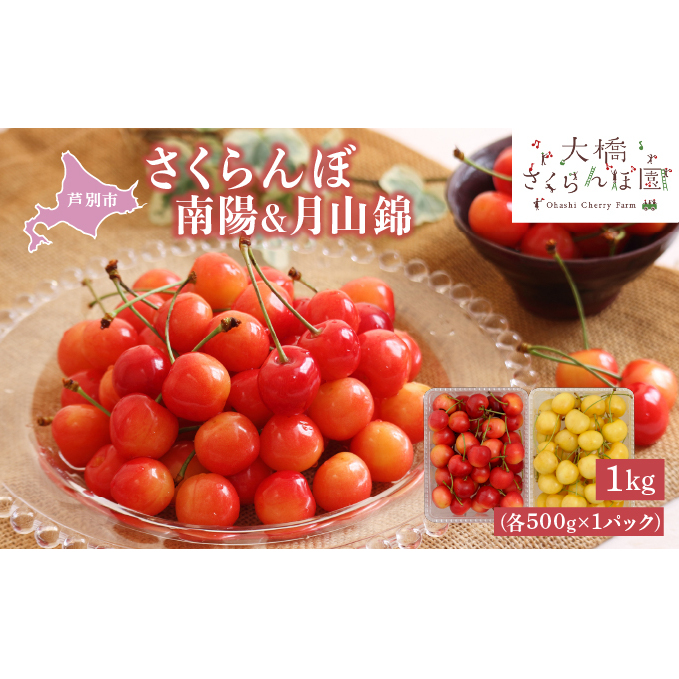 さくらんぼ 先行受付 南陽 月山錦 1kg 各500g×1パック 大橋さくらんぼ園 サクランボ チェリー 果物 果物類 フルーツ デザート 最高級 黄色 大粒 甘い さわやかな酸味 北海道 芦別市 北海道芦別