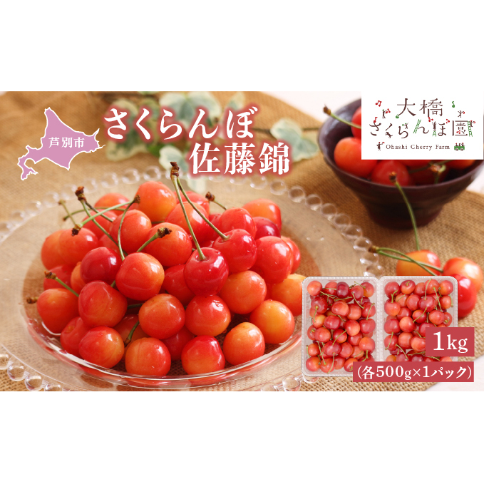 さくらんぼ 先行受付 佐藤錦 1kg (500g×2パック) チェリー フルーツ 果物 旬のフルーツ 旬の果物 くだもの 北海道 芦別市北海道芦別市22000果物・フルーツさくらんぼ