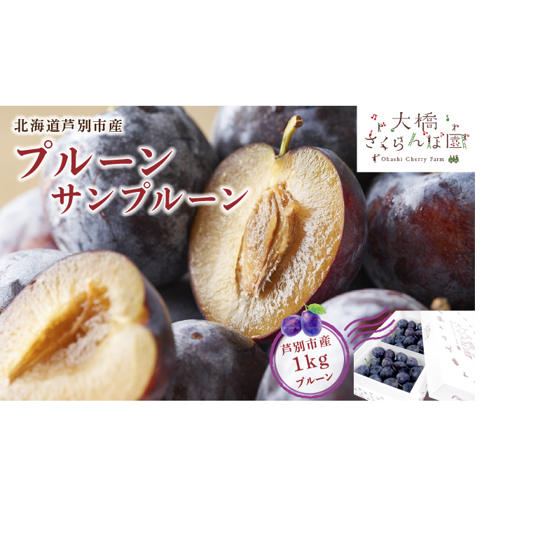 プルーン 北海道 サンプルーン 1kg 大橋さくらんぼ園 生 フルーツ 果物 秋 旬 旬のフルーツ 旬の果物 お取り寄せ 取り寄せ 産地直送 デザート おやつ すもも プラム 冷蔵 芦別市北海道芦別市1