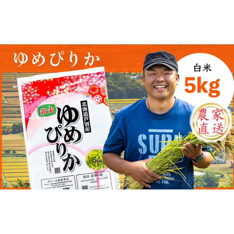  ߘa7NY ߂҂肩 5kg   _ƒ    R Pꌴ uh A A kC kCY߂҂肩 kCY  ͂ kC ʎskCʎs17000