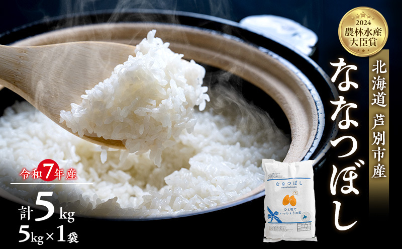  ȂȂڂ v5kg (5kg×1) ߘa7NY   Yn _ƒ  Pꌴ uh   5L kC kCYȂȂڂ kCY  ͂   R kC 