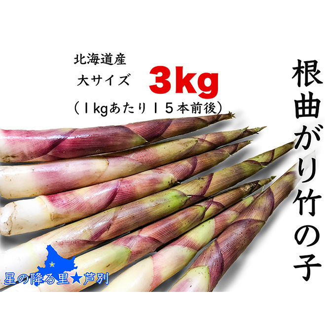 たけのこ 6月発送 根曲がり竹の子 3kg 1kgあたり15本程度 山菜直売店中野渡 北海道産 竹の子 タケノコ 野菜 山菜 新鮮 焼いて 味噌汁 春の恵み 調理 冷蔵配送 北海道 芦別市北海道芦別市18000野