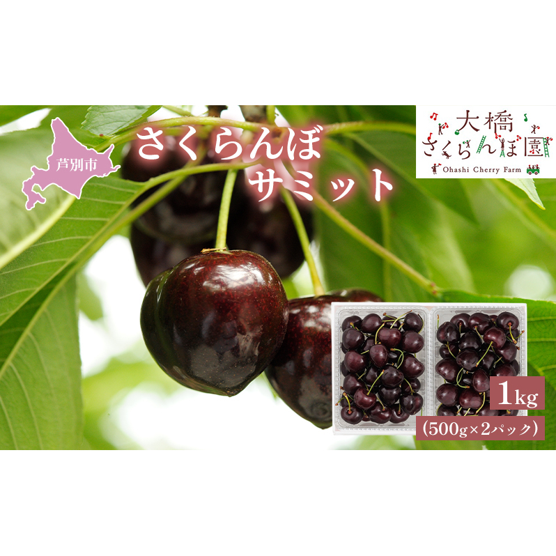 さくらんぼ 先行受付 サミット 1kg 500g×2パック 農林水産大臣賞 受賞 サクランボ チェリー 果物 果物類 フルーツ デザート 大粒 肉質 希少 北海道 芦別市北海道芦別市33000果物・フルーツさく