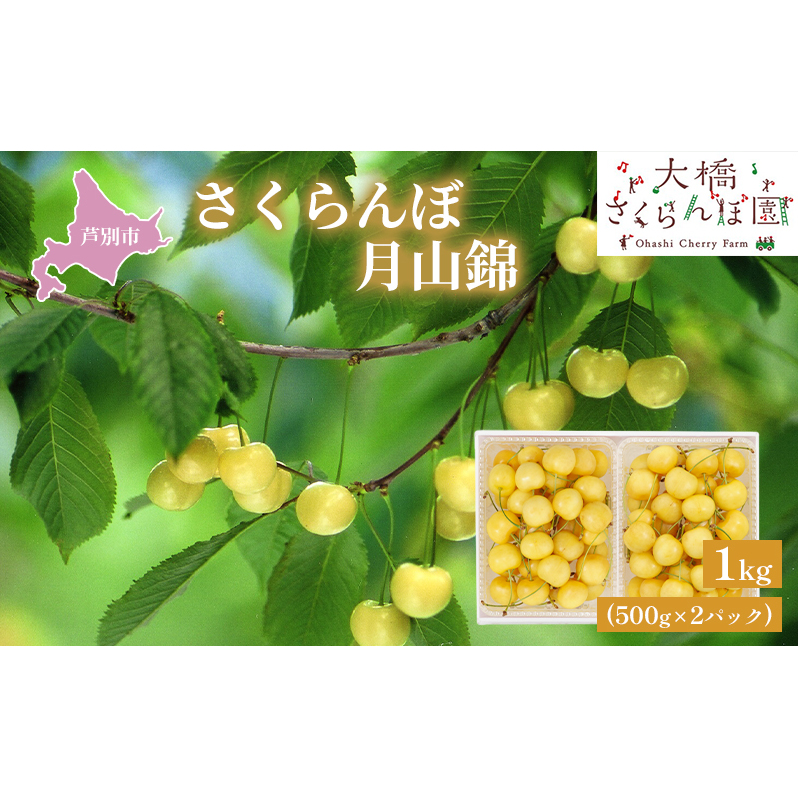  st R 1kg 500g×2pbN _ѐYb  TN{ `F[ ʕ ʕ t[c fU[g ō F 嗱 Â _Ȃ ڂ̏ lC 