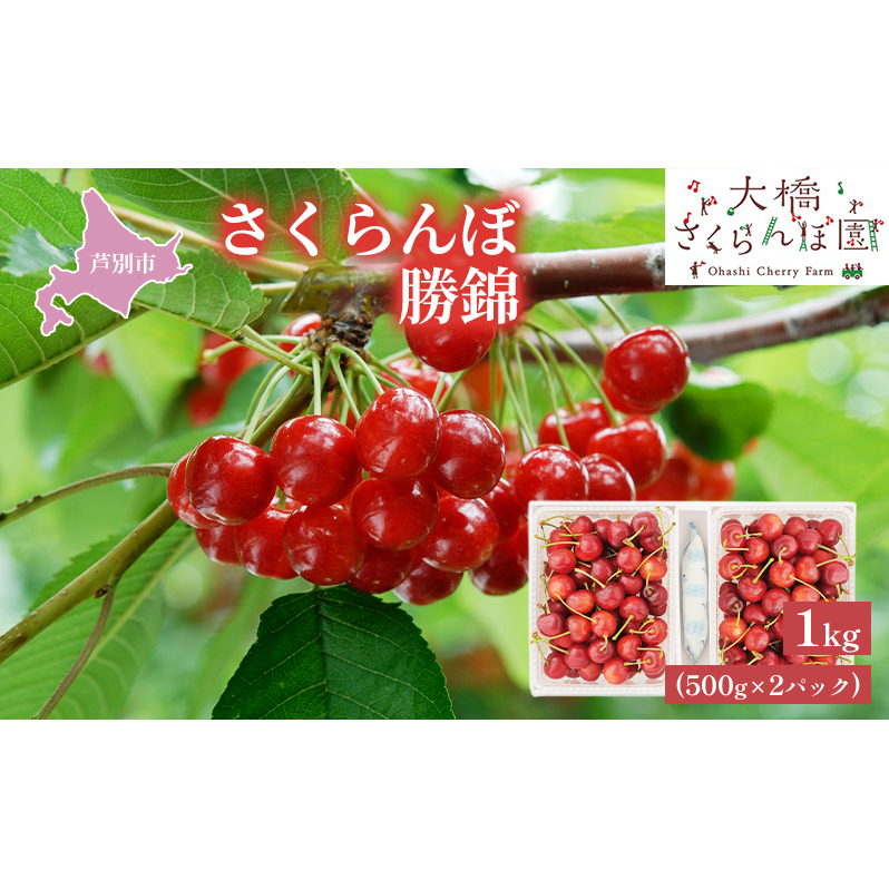 【先行受付】さくらんぼ 勝錦1kg(500g×2パック)サクランボ 赤 大橋 オリジナル 希少 果物類 フルーツ チェリー 北海道芦別市22000果物・フルーツさくらんぼ