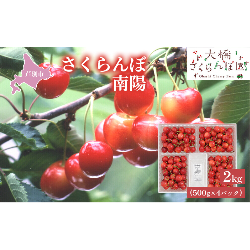 【先行受付】さくらんぼ 赤 南陽2kg(500g×4パック)高級 なんよう サクランボ 芦別産 赤 果物類 フルーツ チェリー 北海道芦別市51000果物・フルーツさくらんぼ
