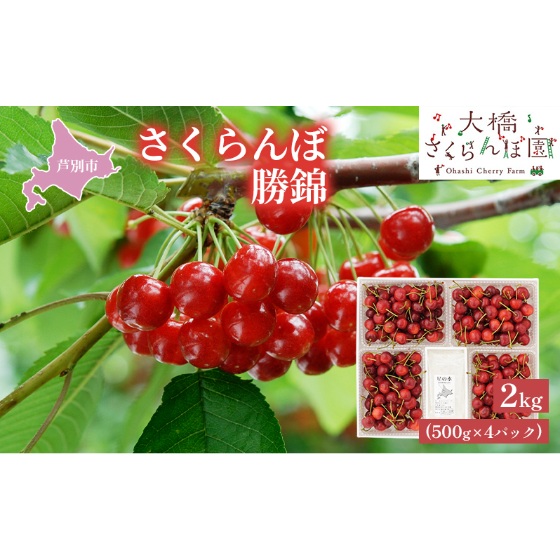 【先行受付】さくらんぼ 赤 勝錦2kg(500g×4パック)サクランボ 赤 大橋 ほまれにしき 希少 大容量 果物類 フルーツ チェリー 北海道芦別市32000果物・フルーツさくらんぼ