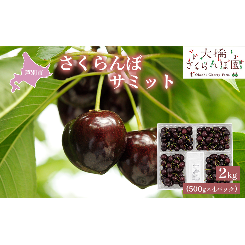 さくらんぼ 先行受付 サミット 2kg 500g×4パック 大橋さくらんぼ園 農林水産大臣賞 受賞 サクランボ チェリー 果物 果物類 フルーツ デザート 高級 希少 大粒北海道芦別市53000果物・フルーツ