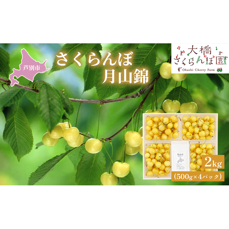 さくらんぼ 先行受付 月山錦 2kg 500g×4パック 農林水産大臣賞 受賞 サクランボ チェリー 果物 果物類 フルーツ デザート 最高級 黄色 大粒 甘い 酸味が少ない さくらんぼの女王 大人気 希少