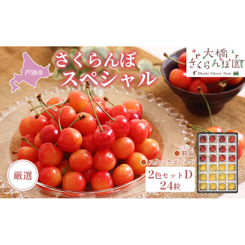 ystzIڃXyV2FD 24iԁEjсEX^bNS[h ʕ t[c `F[ kCʎs22000ʕEt[c