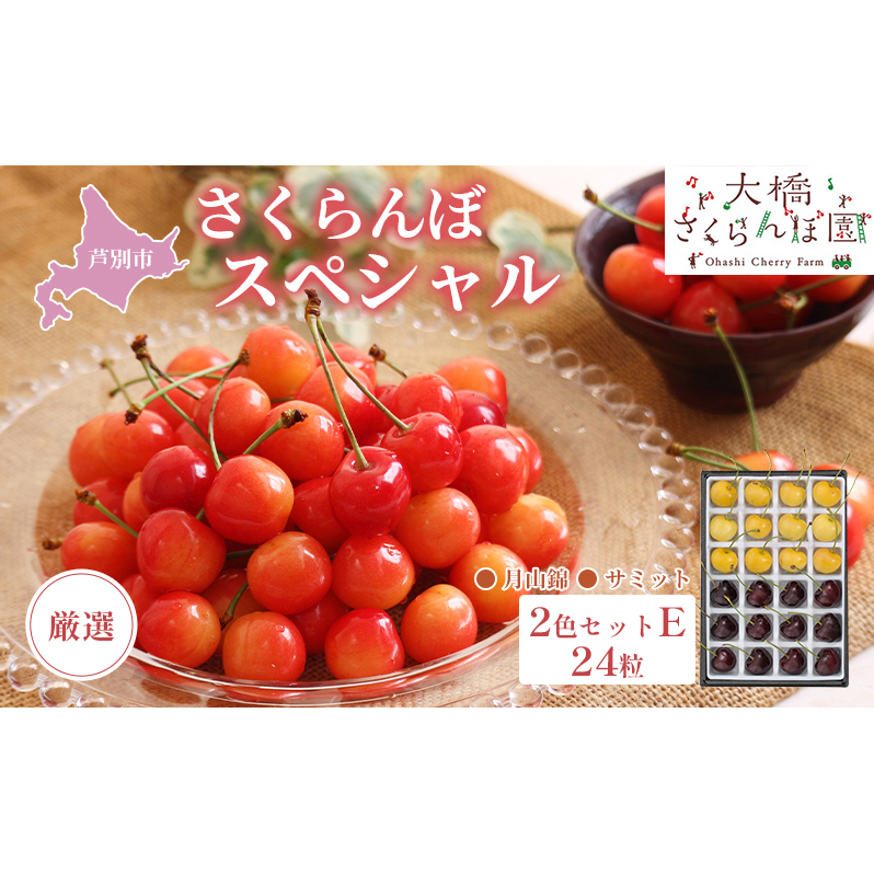 先行予約 厳選 さくらんぼ スペシャル 2色 セット E 24粒(黄・黒) 月山錦 サミット フルーツ 果物 季節のフルーツ 旬 旬のフルーツ 夏 化粧箱 ギフト 贈り物 贈答 プレゼント 冷蔵 冷蔵配送