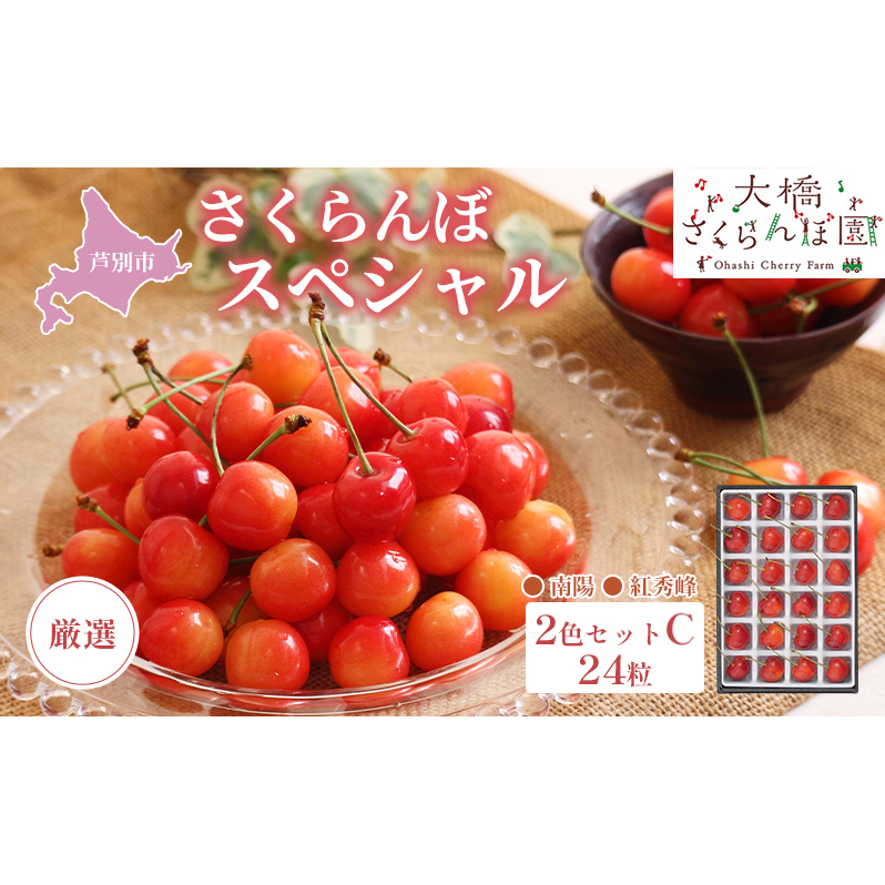 先行予約 厳選 さくらんぼ スペシャル 2色 セット C 24粒(赤・赤) 南陽 紅秀峰 フルーツ 果物 季節のフルーツ 旬 旬のフルーツ 夏 化粧箱 ギフト 贈り物 贈答 プレゼント 冷蔵 冷蔵配送 北海