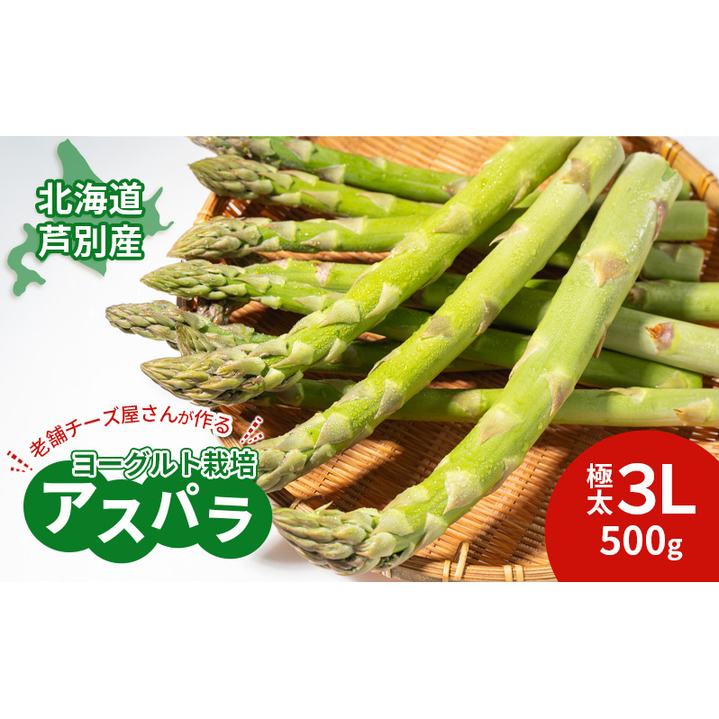【2025年発送】アスパラ 横市ヨーグルト栽培  500g 3L 横市フロマージュ舎 野菜 アスパラガス グリーンアスパラ 旬 とれたて お取り寄せ 産地直送 小分け 保存 芦別市 北海道  北海道芦別市24000