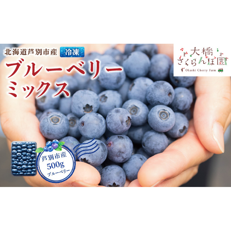 ブルーベリー ミックス 500g 冷凍 果物 くだもの フルーツ 旬の果物 旬のフルーツ ミックスブルーベリー 大粒 小粒 保存 北海道 芦別市北海道芦別市11000果物・フルーツその他 果物・フルーツ