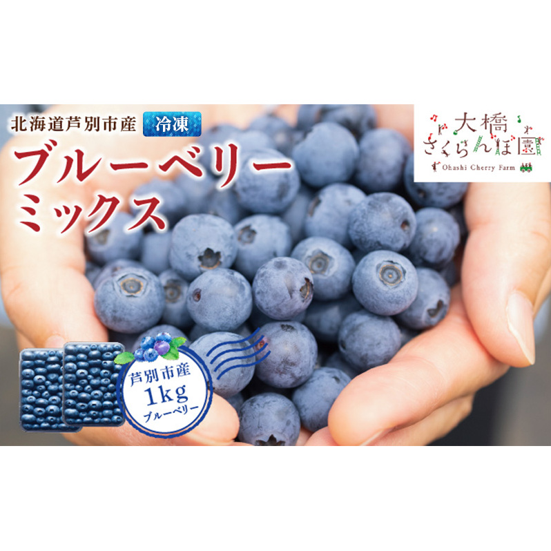 ブルーベリー ミックス 500g×2パック 計1kg 冷凍 果物 くだもの フルーツ 旬の果物 旬のフルーツ ミックスブルーベリー 大粒 小粒 小分け 保存 北海道 芦別市北海道芦別市16000果物・フルーツ