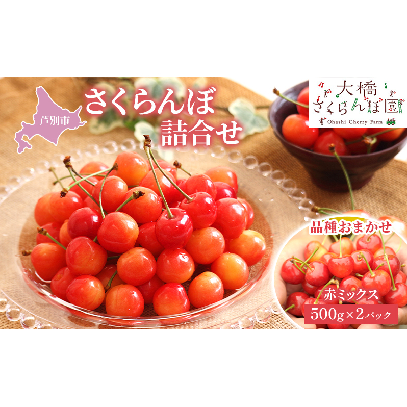 さくらんぼ 500g ×2 パック 赤ミックス 大橋さくらんぼ園 サクランボ チェリー 果物 果物類 フルーツ デザート 完熟 新鮮 美味しい 人気 北海道 芦別市北海道芦別市30000果物・フルーツさくら