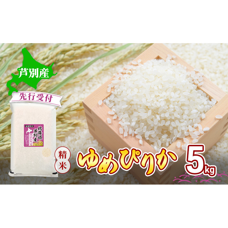 y st z ߘa7N ߂҂肩 5kg kC V       ͂ Pꌴ uh ߘa7NY kC ʎskCʎs22000āEp