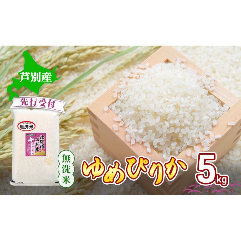 y st z ߂҂肩  5kg   Yn  Pꌴ uh A A 5L kC kCY  ͂  R   ߘa7NY kC  ʎskC