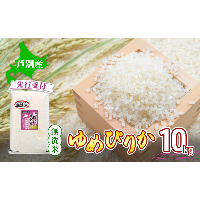 y st z ߂҂肩  10kg   Yn  Pꌴ uh A A 10L kC kCY  ͂  R  ߘa7NY kC  ʎskC