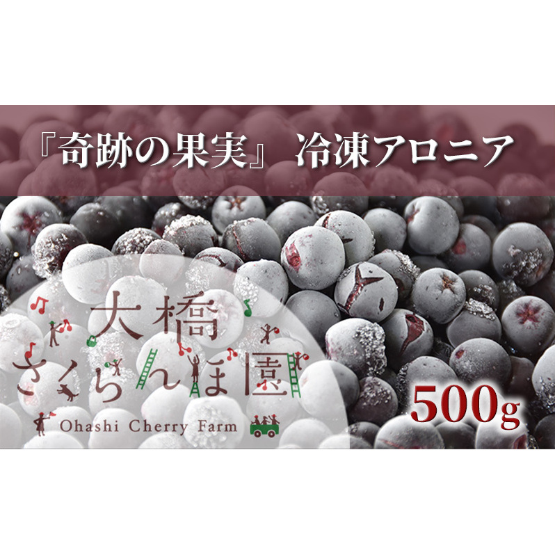 冷凍アロニア 500g 冷凍 アロニア 果物 くだもの フルーツ 旬の果物 旬のフルーツ 大橋さくらんぼ園 果物類 フルーツ デザート 完熟 急速冷凍 新鮮 美味しい 人気 冷凍配送 北海道 芦別市北海