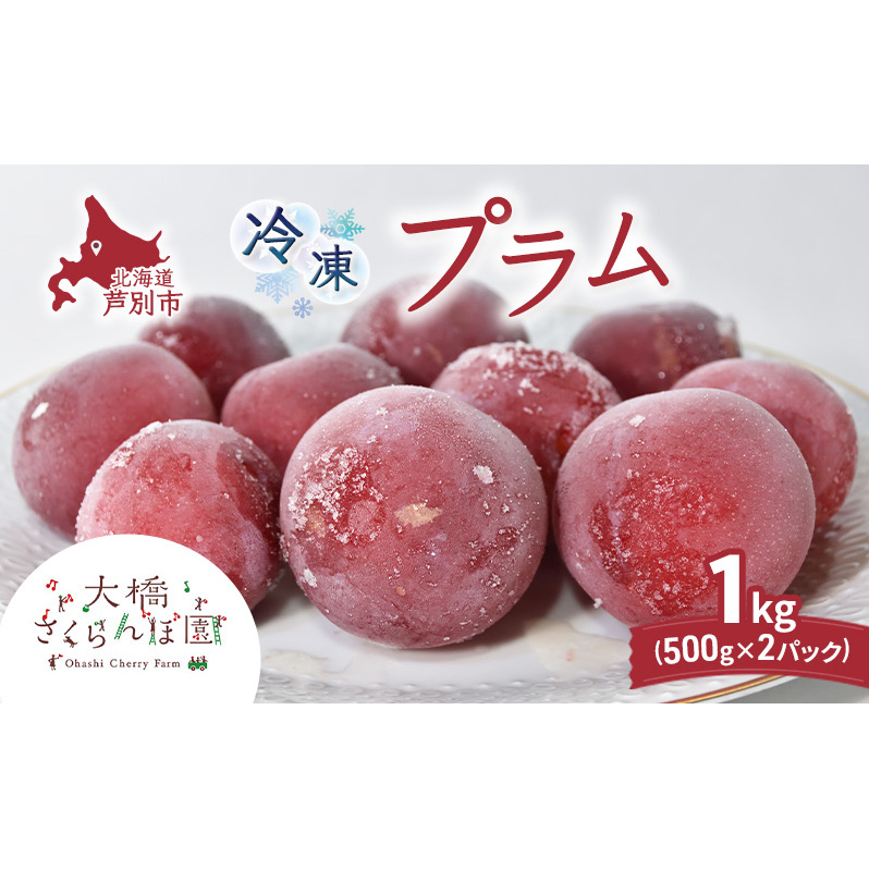 Ⓚv 500g × 2pbN 1kg Ⓚ v ʕ  t[c {̉ʕ {̃t[c 勴ډ ʕ t[c fU[g n }Ⓚ VN  lC Ⓚz kC 