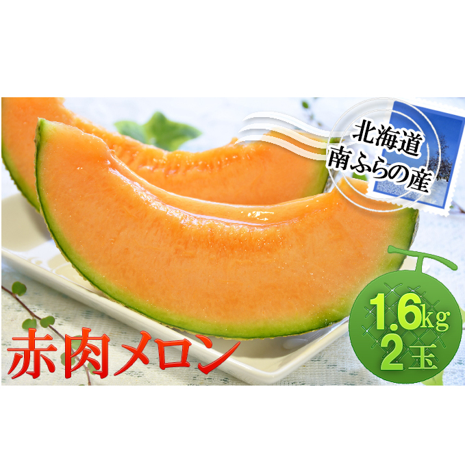 南ふらの産赤肉メロン1.6kg×2玉 北海道 南富良野町 メロン 赤肉メロン 果物 フルーツ デザート 北海道南富良野町13000果物・フルーツメロン・スイカ