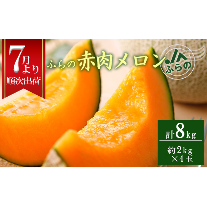 2025年夏発送 メロン 北海道 ふらの 赤肉 メロン 2kg×4玉 JAふらの 厳選 産地直送 赤肉 富良野メロン フルーツ 果物 果実 旬 旬のくだもの デザート おやつ ギフト プレゼント 贈答 贈答用 贈答