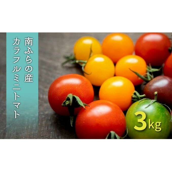 Jt ~jg}g Zbg 3kg kCxǖY kC xǖ쒬 2026N s\ g}g l ~bNX ~bNXg}g  kCxǖ쒬14000؁Êg}g