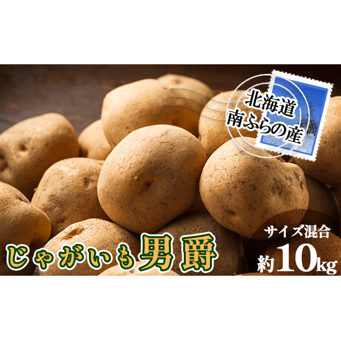 南ふらの産 じゃがいも 男爵 約10kg【サイズ混合】 北海道 南富良野町 じゃがいも ジャガイモ 男爵 2026年発送 先行予約 ポテト 野菜 北海道南富良野町13000野菜・きのこじゃがいも・イモ類