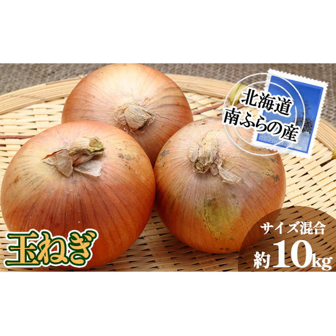 南ふらの産 玉ねぎ 約10kg 【サイズ混合】 北海道 南富良野町 2026年発送 先行予約 北海道 南富良野町  玉葱 玉ネギ 玉ねぎ ネギ ねぎ 先行予約 野菜 たまねぎ 北海道南富良野町13000野菜・きの