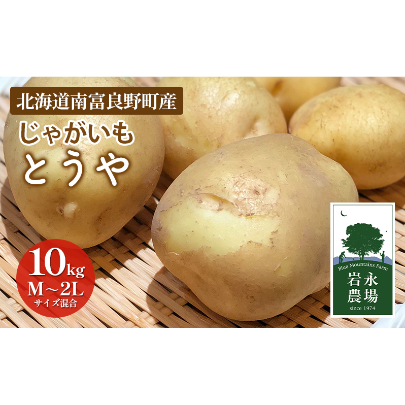 【2025秋〜発送】 北海道 南富良野町 じゃがいも「とうや」10kg(M〜2Lサイズ混合) じゃがいも ジャガイモ とうや 野菜 やさい 北海道野菜 北海道産じゃがいも 北海道南富良野町12000野菜・きの