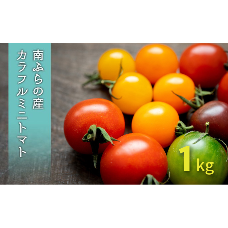 カラフル ミニトマト セット 1kg ≪北海道南富良野産≫ 北海道 南富良野町 2026年発送 先行予約 トマト 詰合せ ミックス ミックストマト北海道南富良野町7000野菜・きのこトマト