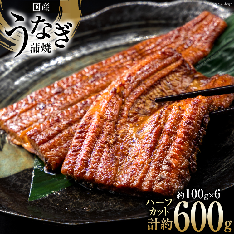 うなぎ 国産 静岡 うなぎ蒲焼 ハーフカット 100g ×6 計600g [静岡鰻販売 静岡県 吉田町 22424172] 鰻 ウナギ うなぎ蒲焼き  うなぎ蒲焼 真空パック 冷凍 魚介の返礼品蒲焼 肉厚 ふっくら 静岡県産 | 静岡県吉田町 | JRE MALLふるさと納税