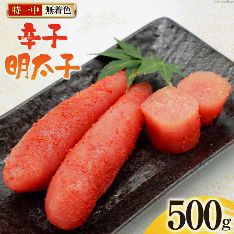 hqq F ꒆ 500g [͂˂Hi É gc 22424276] q ߂񂽂  ^R 炱 ߂񂽂 ⓀÉgc11000ECYqȆ