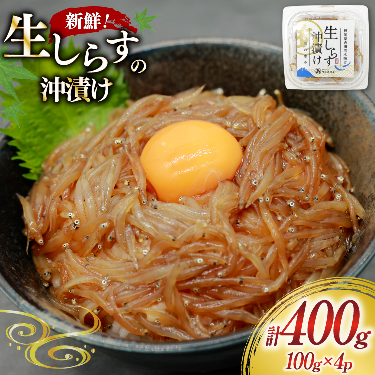 炷Ђ 100g 4pbN v400g [}Y É gc 22424525-c] 炷 VX Ђ 炷 VX  CN x͘pYÉgc10000ECY̑ ECY