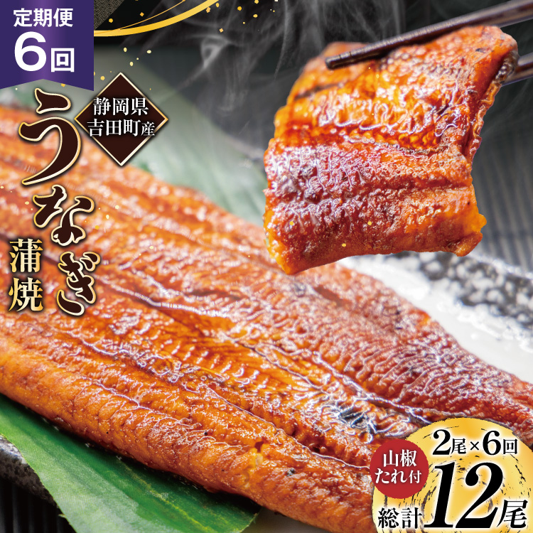 Ȃ Y É   150gȏ 2 6 v12 [삤Ȃ É gc 22424566] ÉY V EiM ungai Ă ȂĂ V ^  R ^pbN ⓀÉgc