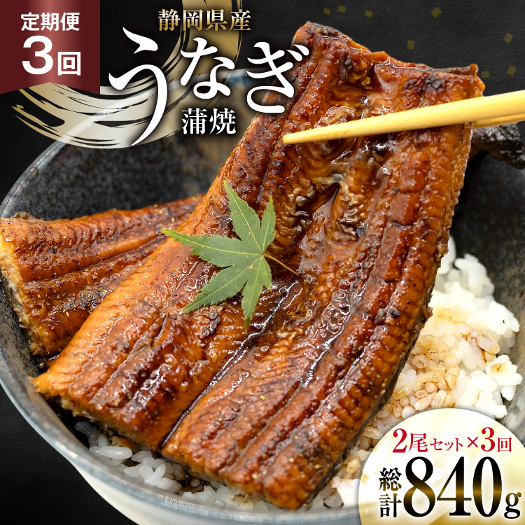 Ȃ Y É    140g 2 3 v6 [ÉV̔ É gc 22424581] ÉY V EiM ungai Ă ȂĂ V ^  R ^pbN ⓀÉgc