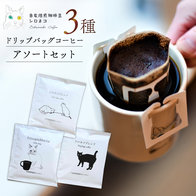 hbvobO R[q[ A\[gZbg 3 3Zbgi3tj [蓤VlR É gc 22424636] hbvobO R[q[  coffee R[q[ hbv  hbvpb