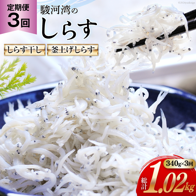 3  x͘pY 炷 100g×1 グ炷 120g×2 v3pbN [}Y É gc 22424640]  CN 炷 q VX V Ⴑ  Ⴑ 炷Égc2600