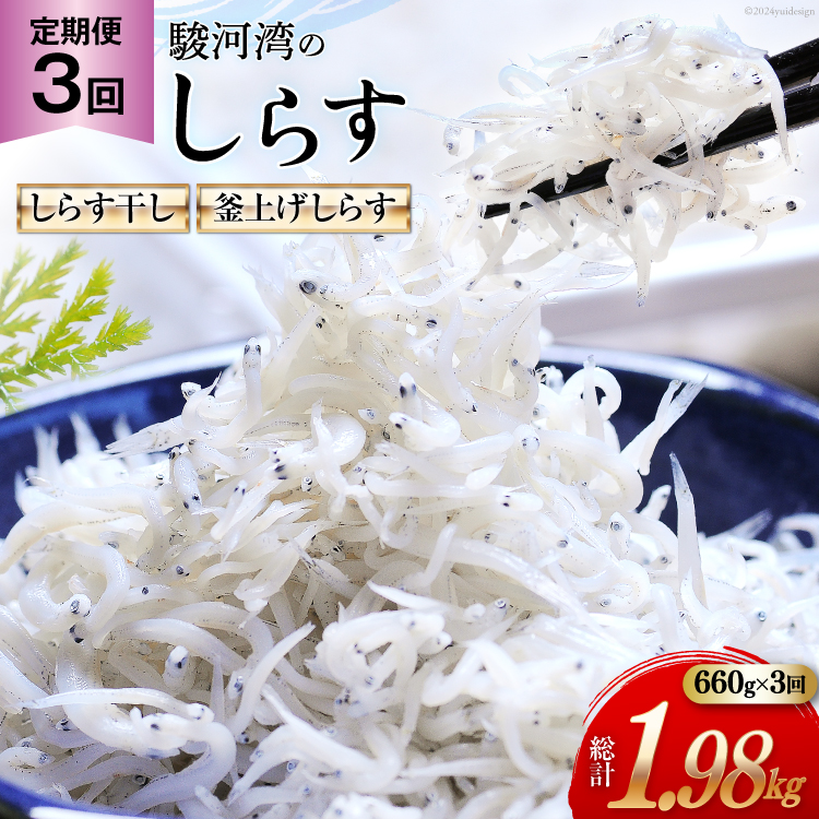3  x͘pY 炷 100g×3 グ炷 120g×3 v6pbN [}Y É gc 22424642]  CN 炷 q VX V Ⴑ  Ⴑ 炷Égc4100