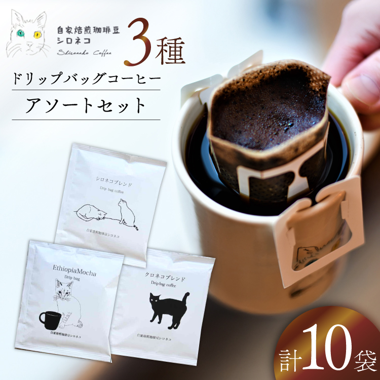 hbvobO R[q[ A\[gZbg 3 10Zbgi10tj[蓤VlR É gc 22424645] hbvobO R[q[  coffee R[q[ hbv  hbvpb