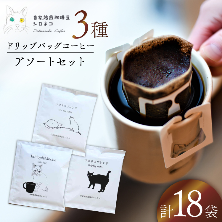 hbvobO R[q[ A\[gZbg 3 18Zbgi18tj [蓤VlR É gc 22424646] hbvobO R[q[  coffee R[q[ hbv  hbvp