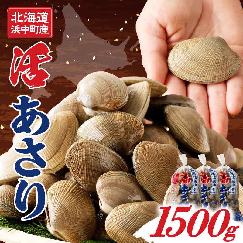 1月〜3月発送分《先行予約・期間限定》浜中町産活あさり(500g×3袋セット)_230106-01北海道浜中町12000魚介・海産物貝類