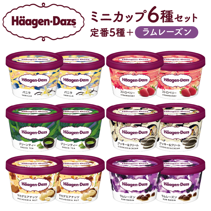ハーゲンダッツ『ミニカップ12個セット(定番フレーバー&ラムレーズン味)』アイスクリーム アイス スイーツ デザート_H0016-003北海道浜中町20000菓子・スイーツアイス・ジェラート