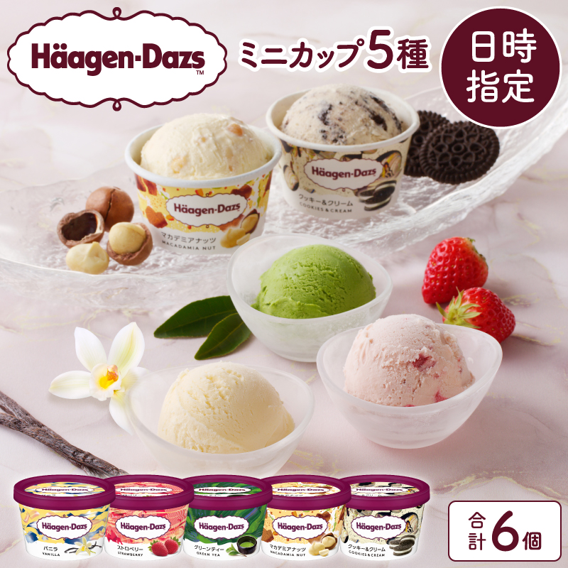 【着日指定できます!!】ハーゲンダッツ『定番ミニカップ5種セット(合計6個)』アイスクリーム アイス スイーツ デザート_H0016-015北海道浜中町12000菓子・スイーツアイス・ジェラート